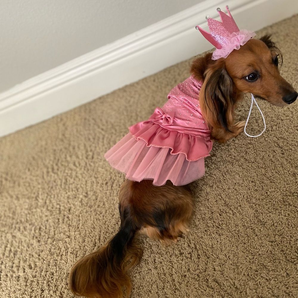 Pink Dress 💕 - Picture 6 of 6
